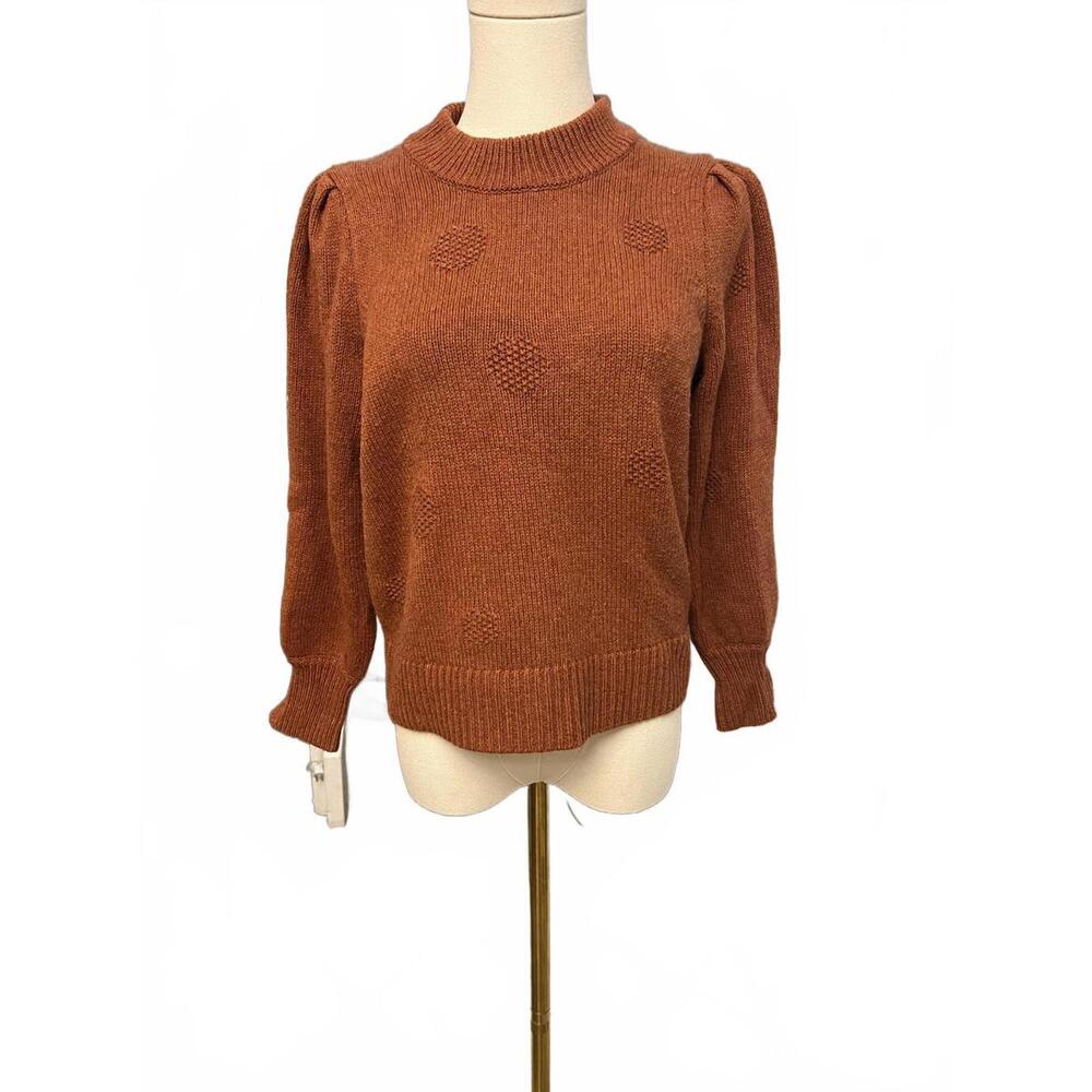 Chic Rust Madewell Puff Sleeve Sweater